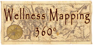 wellness-mapping-360