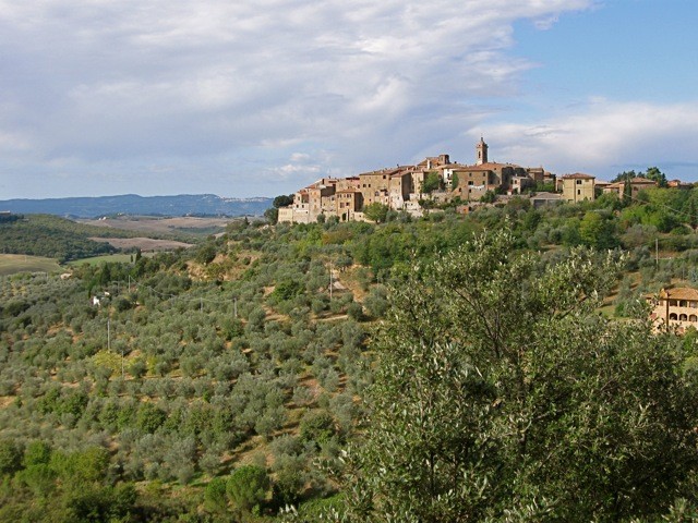 Olive groves flank a Tuscan hill town