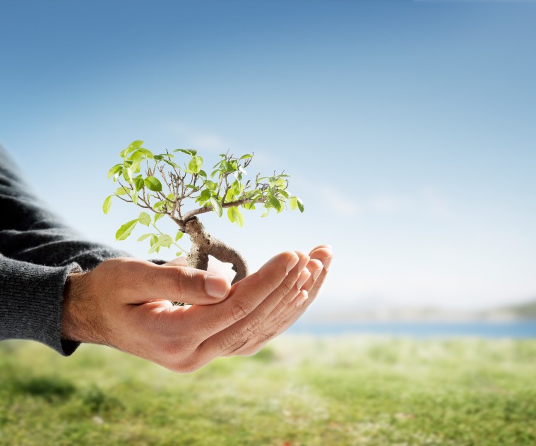 tree hand growth