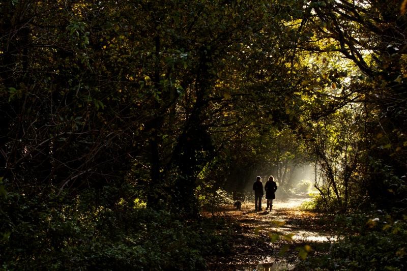 two people in the forest