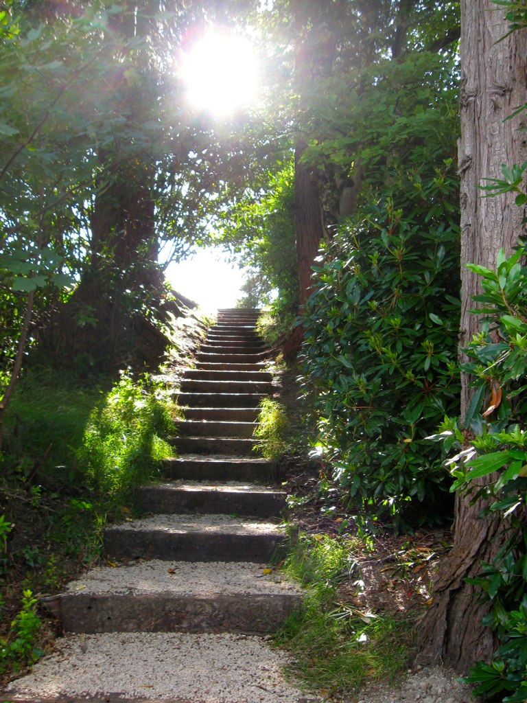 stairs sunshine