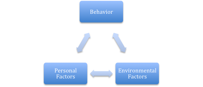 bandura model rd