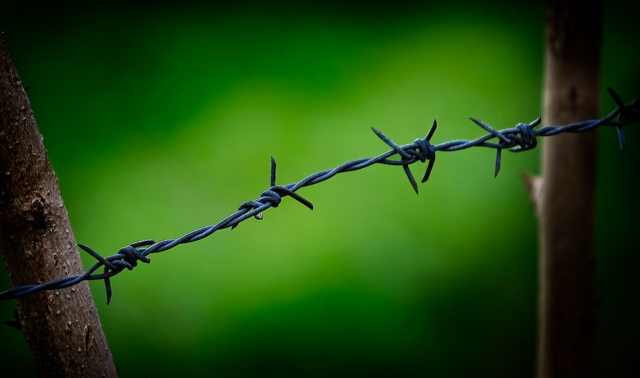 barbed wire