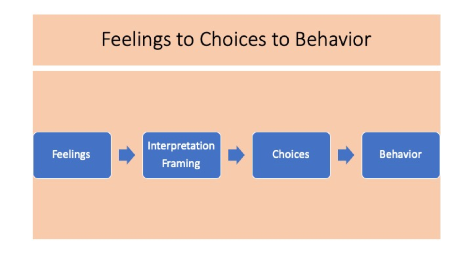 feelings behavior