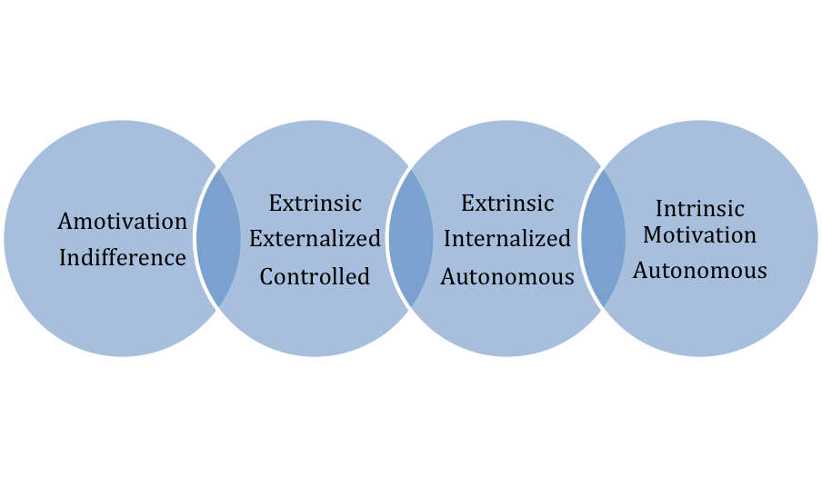 motivation spectrum