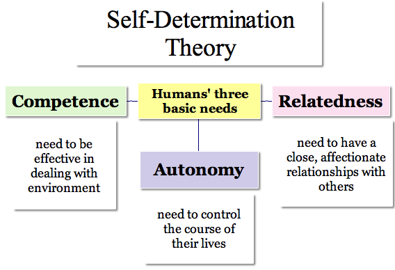 self determination theory