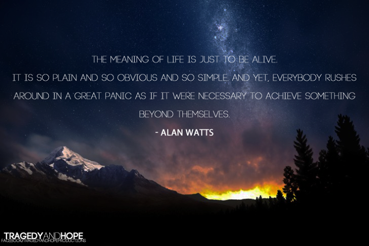 the meaning of life quote by Alan Watts