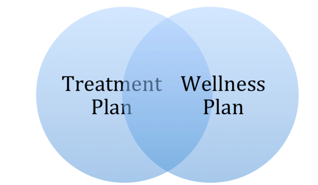 treatment plan wellness plan