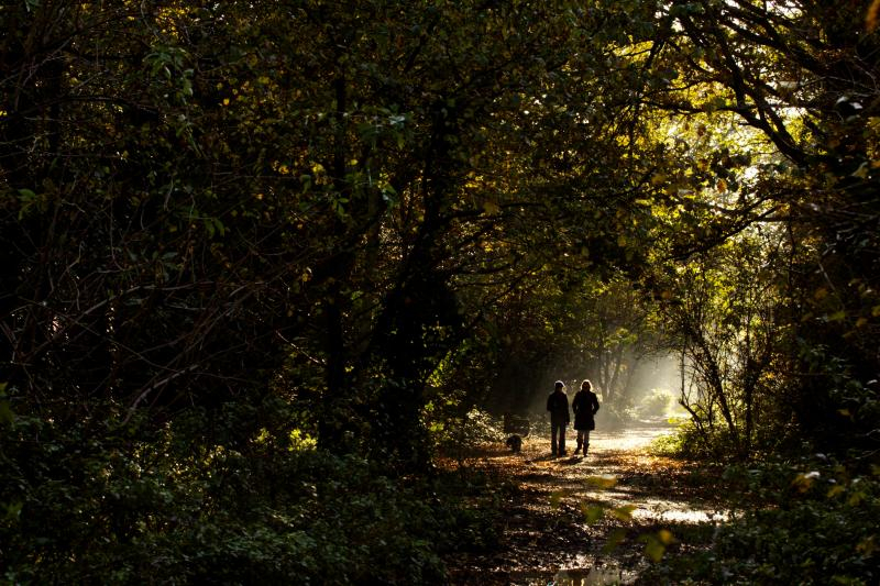 2 people in the forest