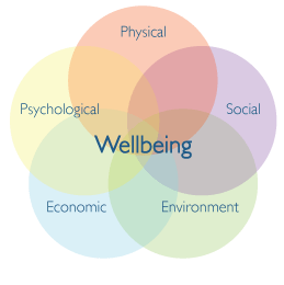 wellbeing graph